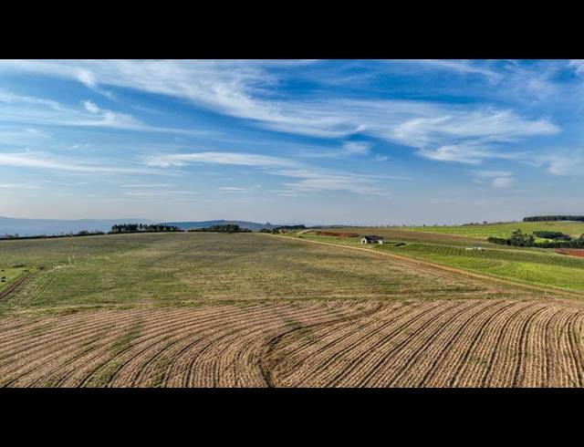 LAND FOR SALE IN MOUNT VERDE